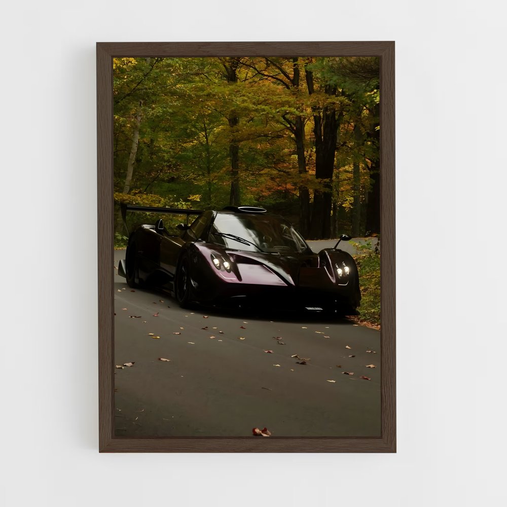 Poster Zonda magnifique r – affiche Pagani (vue 5)